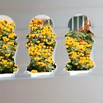 דירה Edi Astoria סנטה קרוז דה טנריף